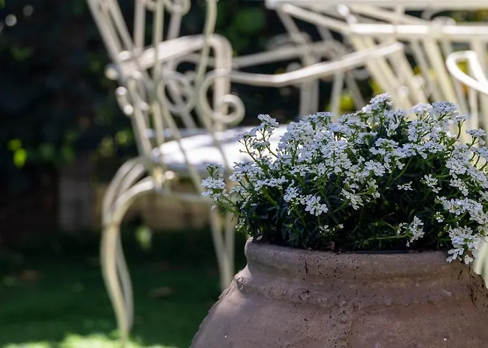 Nonna Pia's House Lejlighed Sorrento